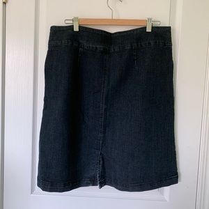 Jean Skirt (size 16)